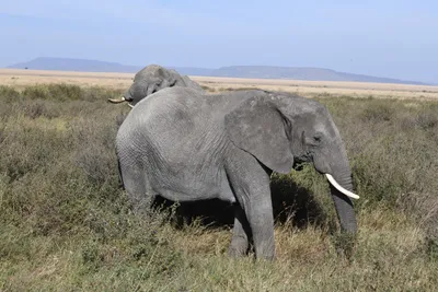 DSC_3853 (Large).JPG